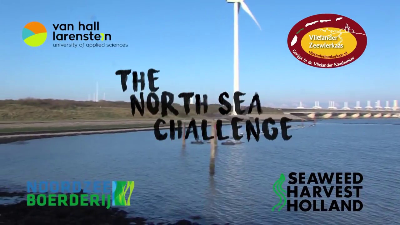 North Sea Challenge visits Seaweed Harvest Holland